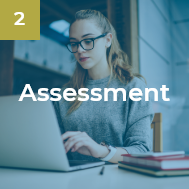 Assesment