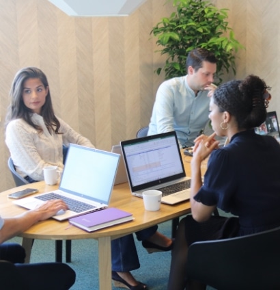 subsidieaudit-en-accountantsverklarin